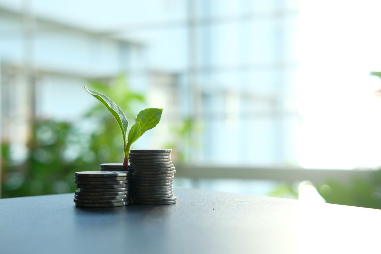 A plant sprout growing beside two stacks of coins.