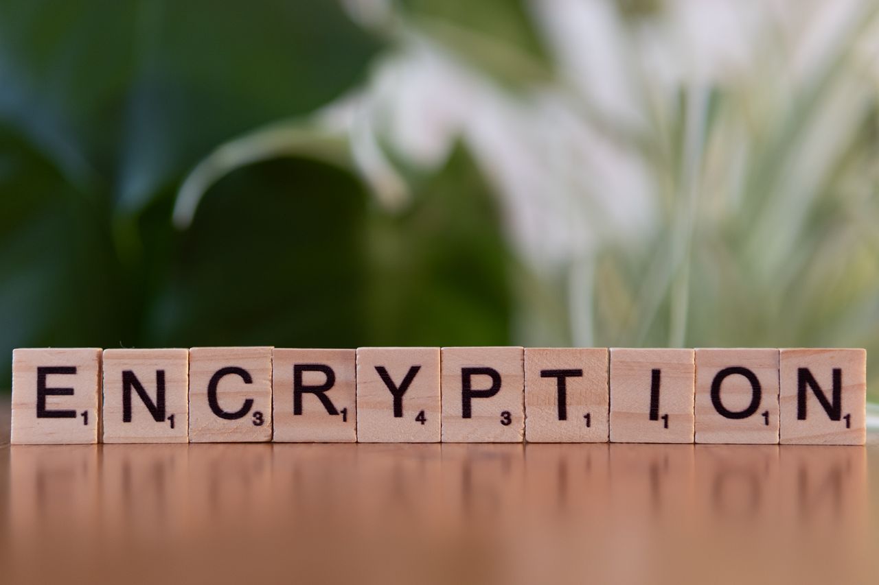 Close-up of wooden blocks spelling 'encryption', symbolising data security and digital protection.
